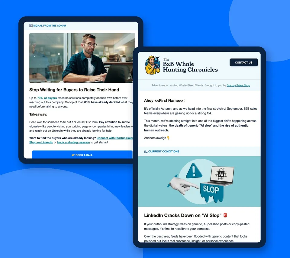 Two issues of The B2B Whale Hunting Chronicles newsletter